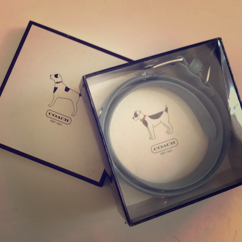 New in box Coach baby blue XL dog collar